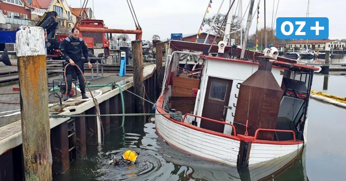 Zurück an der Wasseroberfläche