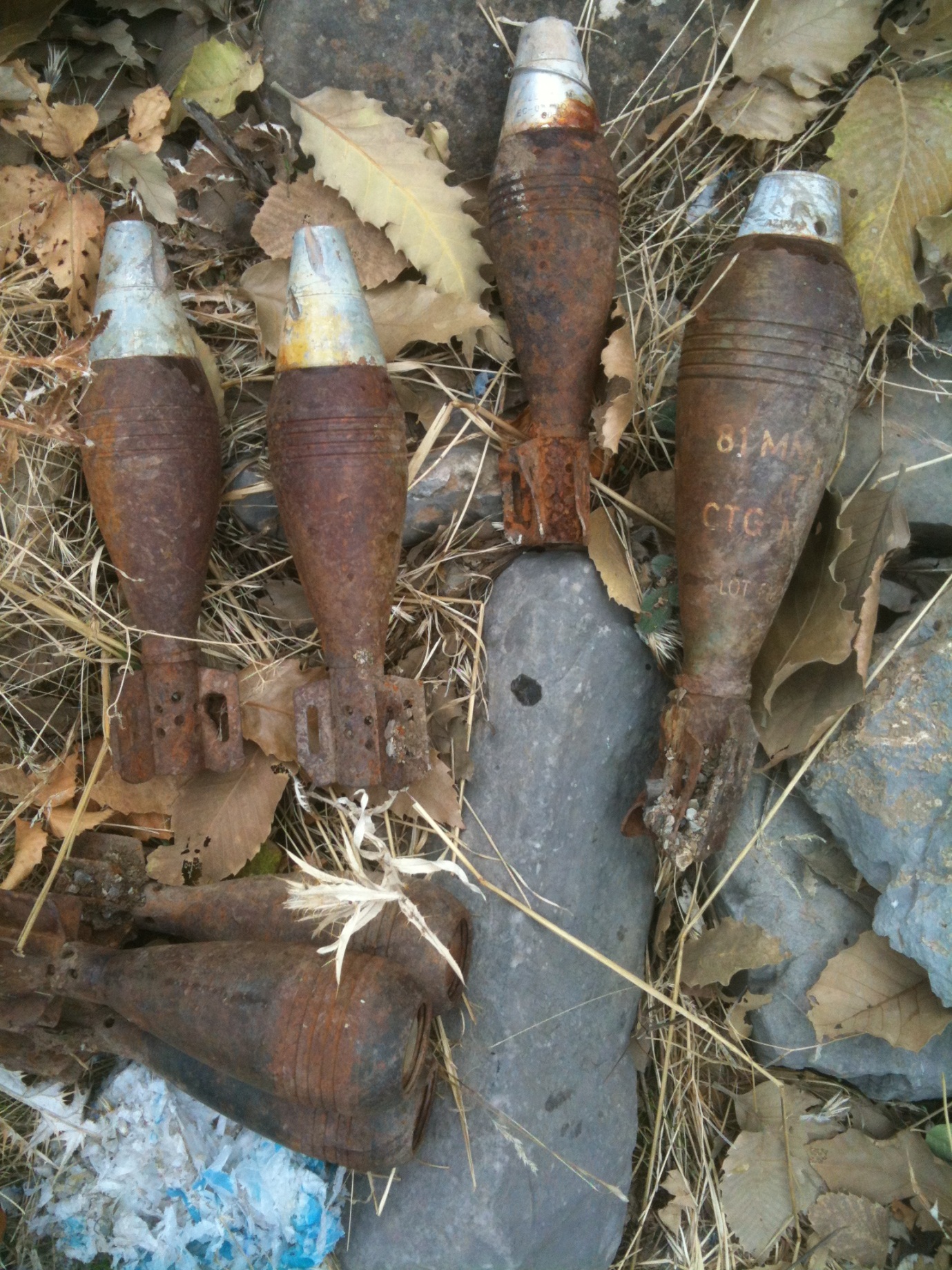 Oberflächennahe Beräumung auf dem Areal der ehemaligen Sprengstofffabrik Güsen