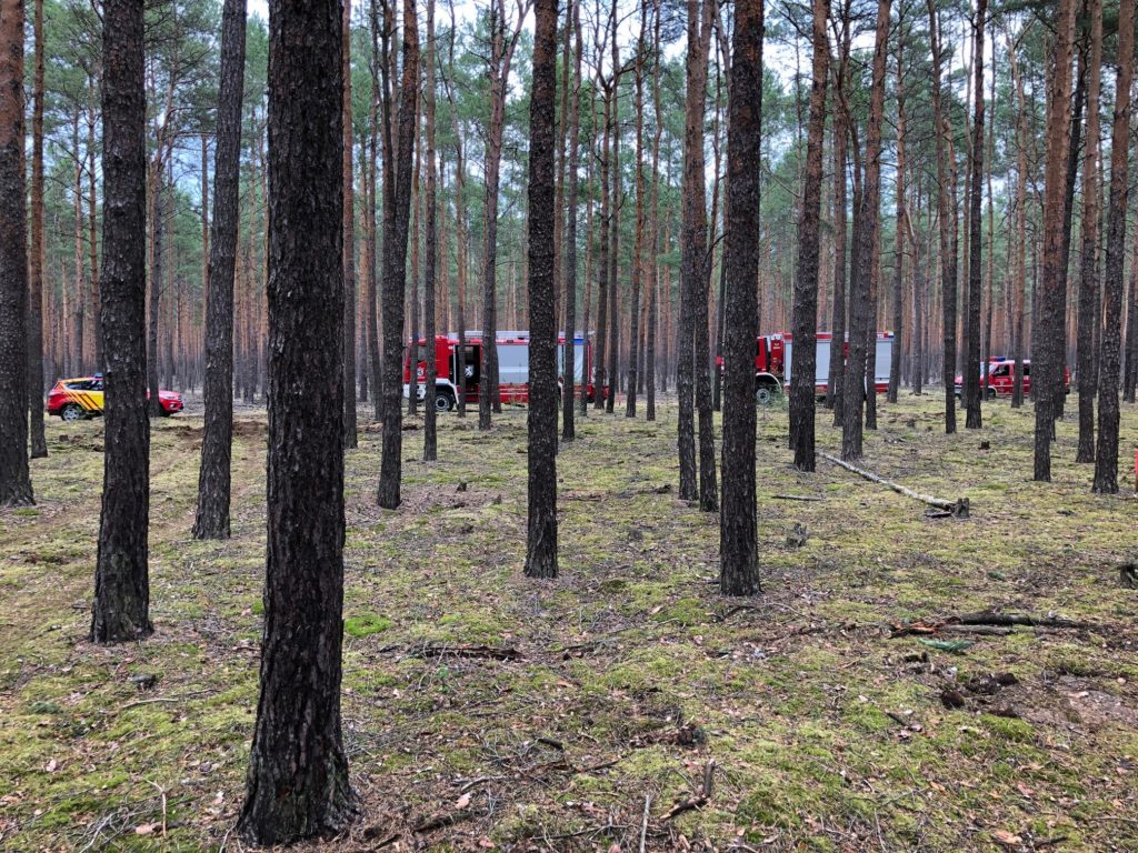 Die Sprengung einer russischen 100-kg-Bombe, mehrerer Hand-, Spreng- und Gewehrgranaten sowie anderer Munition in Waldgebiet bei Halbe - vorer.