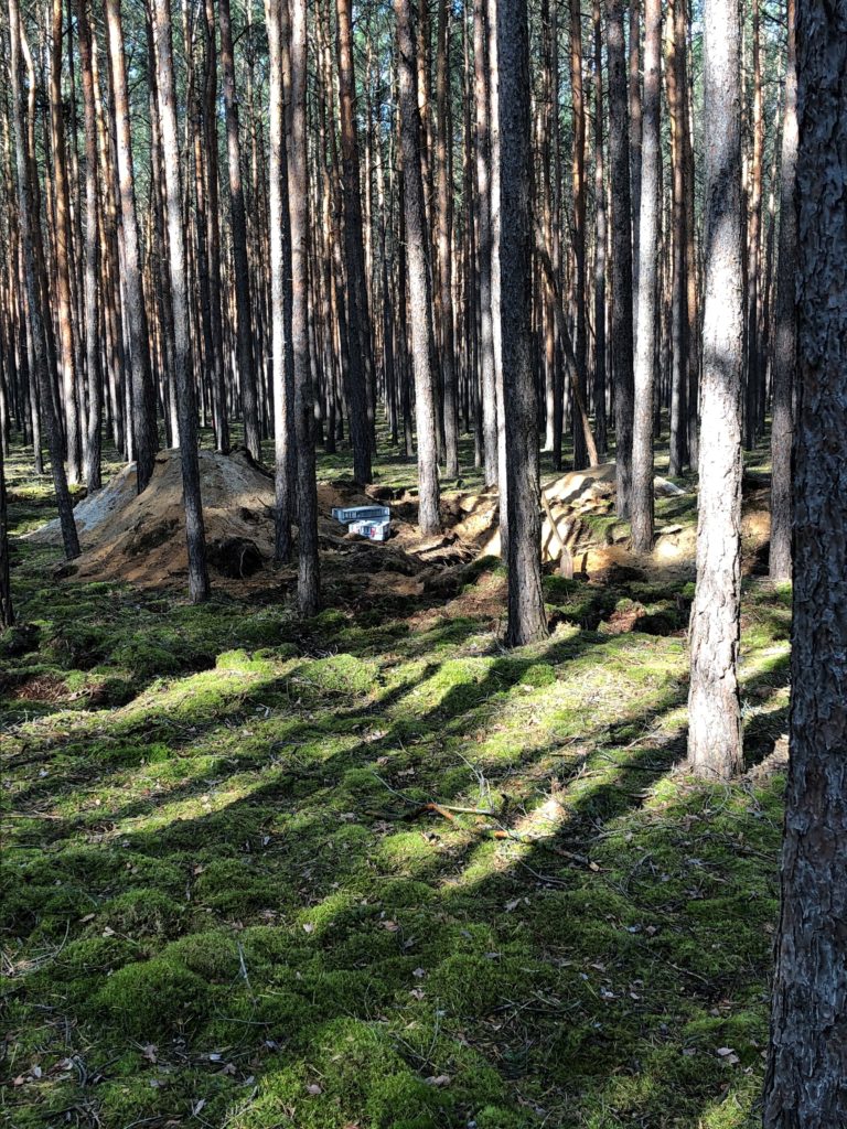 Die Sprengung einer russischen 100-kg-Bombe, mehrerer Hand-, Spreng- und Gewehrgranaten sowie anderer Munition in Waldgebiet bei Halbe - vorer.